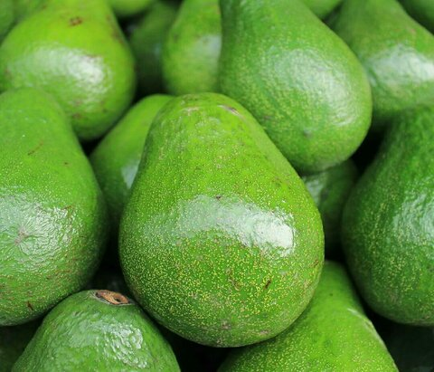 Avocado